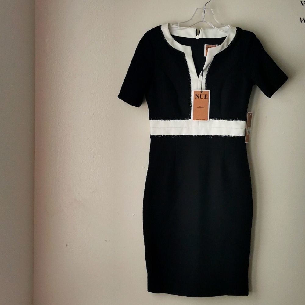 Nue By Shani Dress.